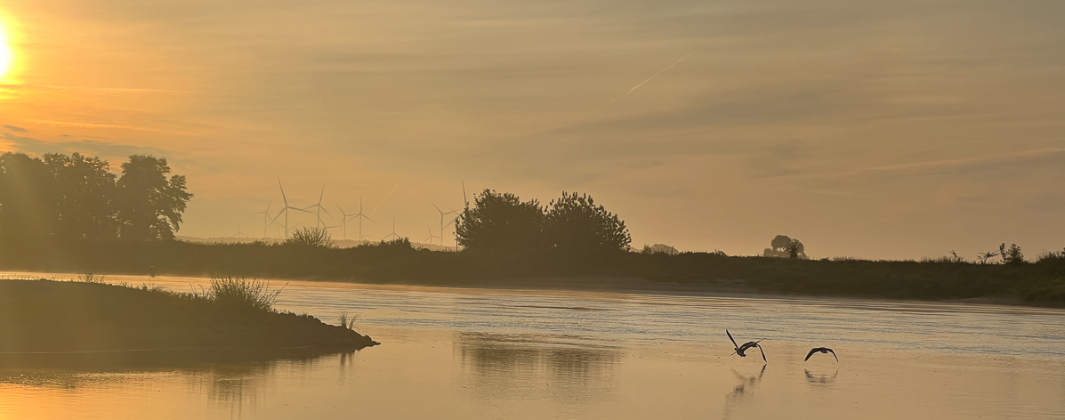 Freikirche der Siebenten Tags Adventisten in Landshut - startende Vögel auf der Elbe