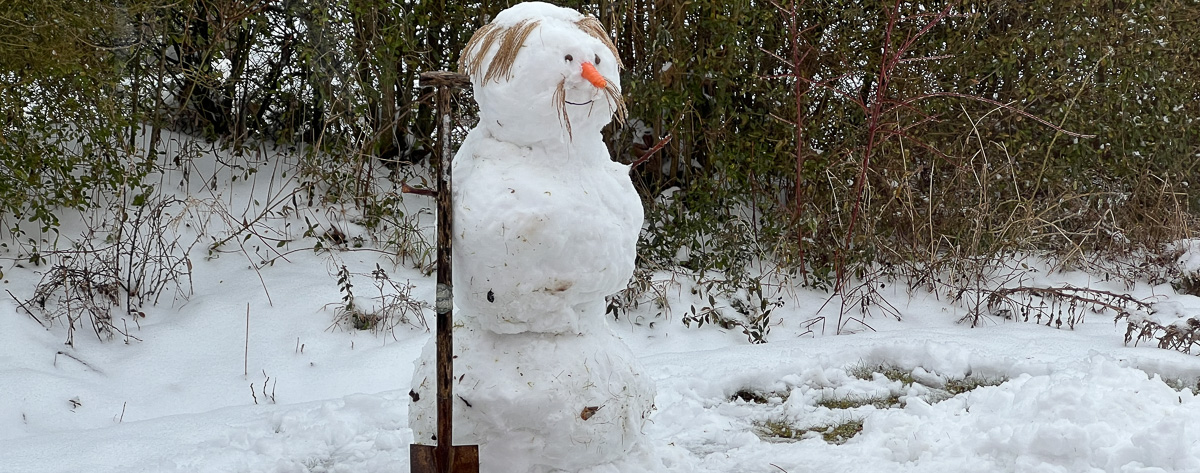 Freikirche der Siebenten Tags Adventisten in Landshut _ Ein Schneemann mit Haaren und Karottennase