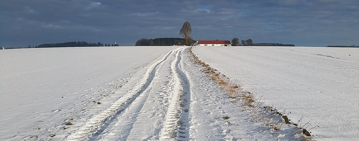 Weg in Schneelandschaft